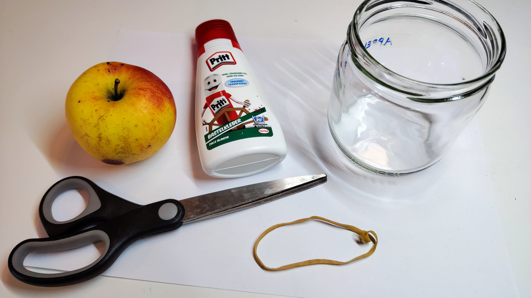 Combattez avec succès les mouches des fruits dans une boîte à vers