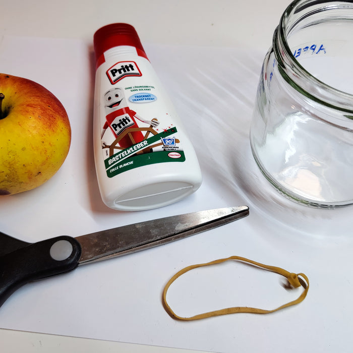 Fruchtfliegen in Wurmkiste erfolgreich bekämpfen