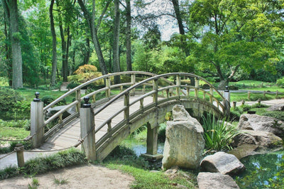 Vue d'un pont dans un jardin