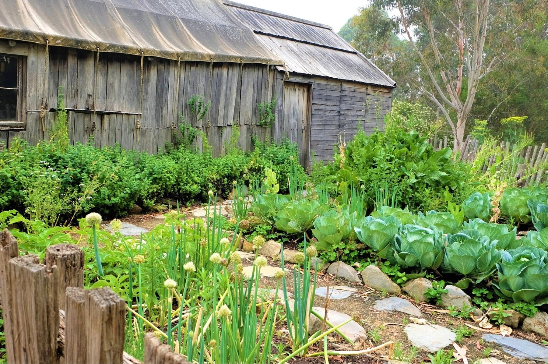 Combattez les taupins - avec des mesures biologiques jusqu'au bout !