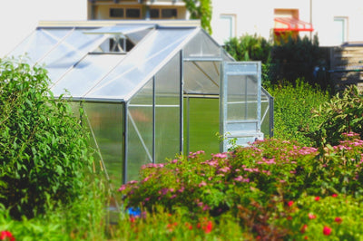 Vue d'une serre dans un jardin