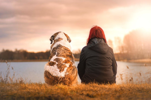 Un chien et une femme sont assis au bord d’un lac