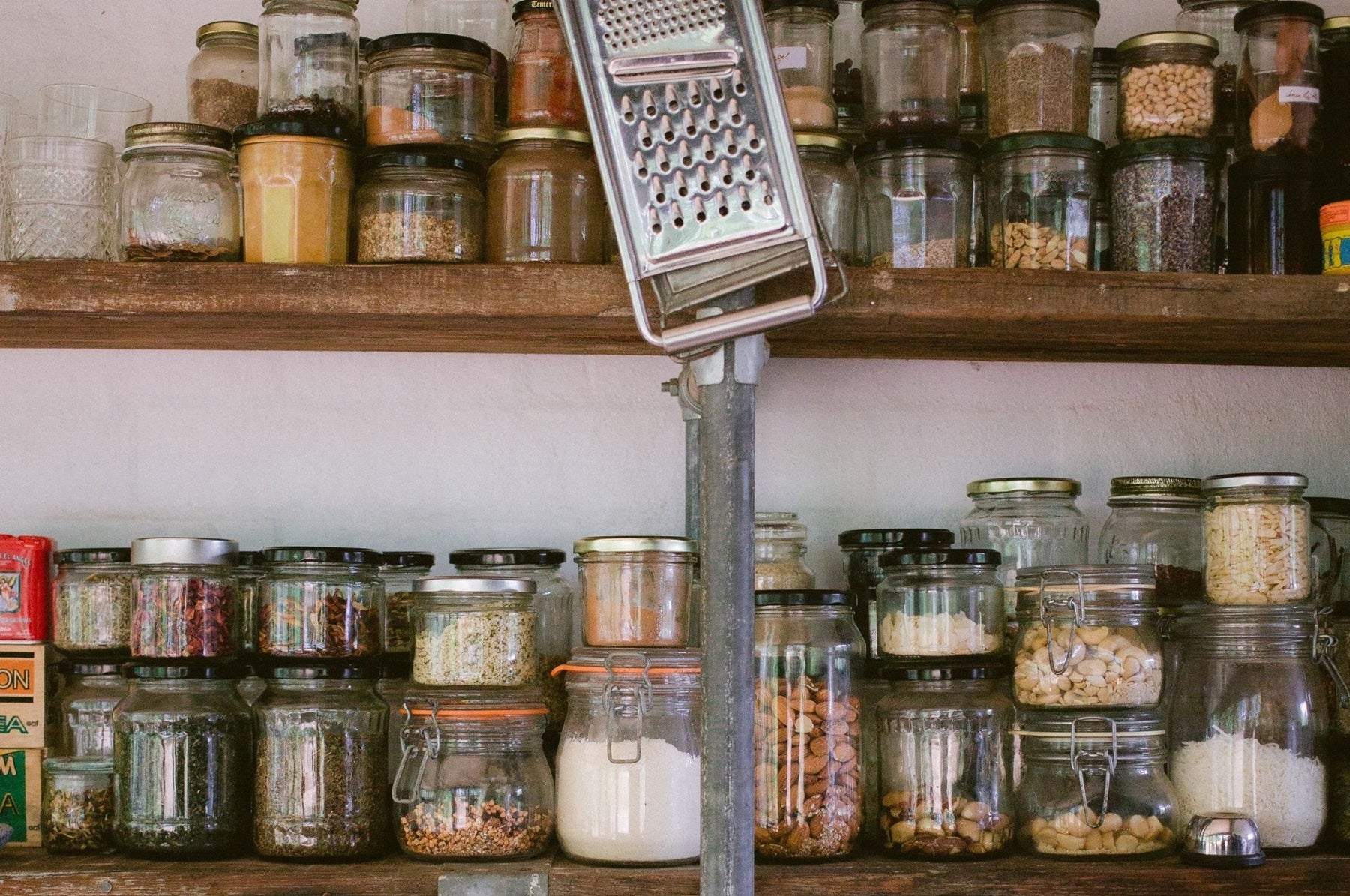 Guêpes parasites des mites de la farine - sans mites sans produits chimiques !