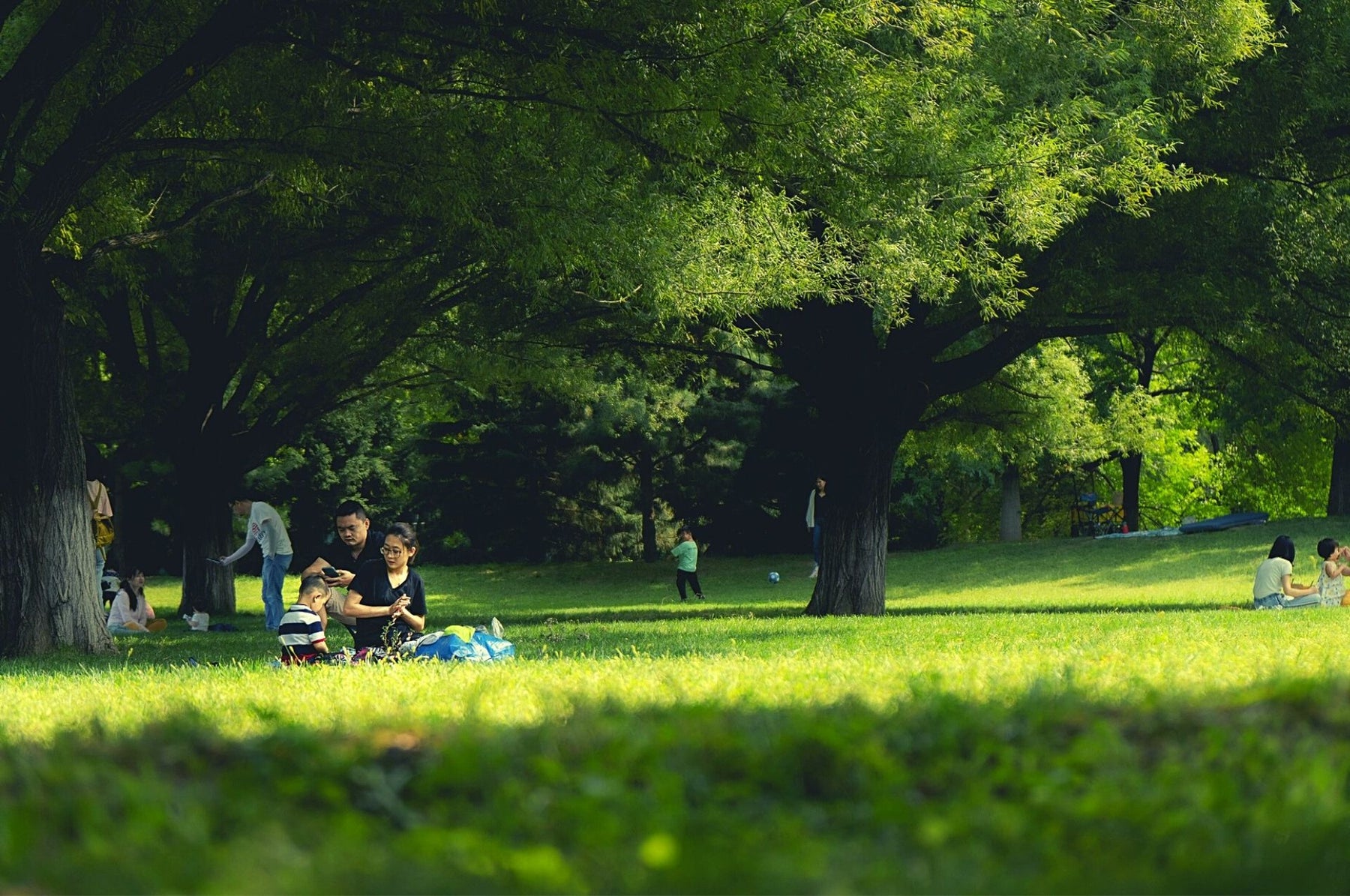 Répulsif contre les moustiques - chassez avec succès les moucherons et les moustiques !