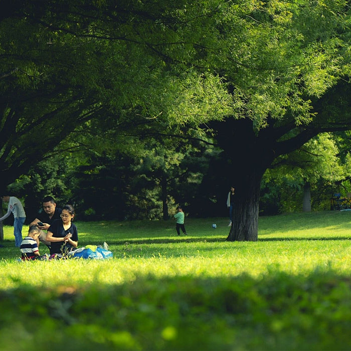 Menschen in einem Park