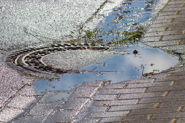 Drain humide dans une rue