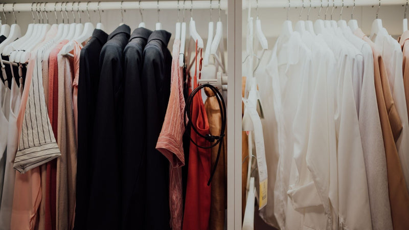 Trouvez et combattez efficacement les œufs de dendroctone du tapis