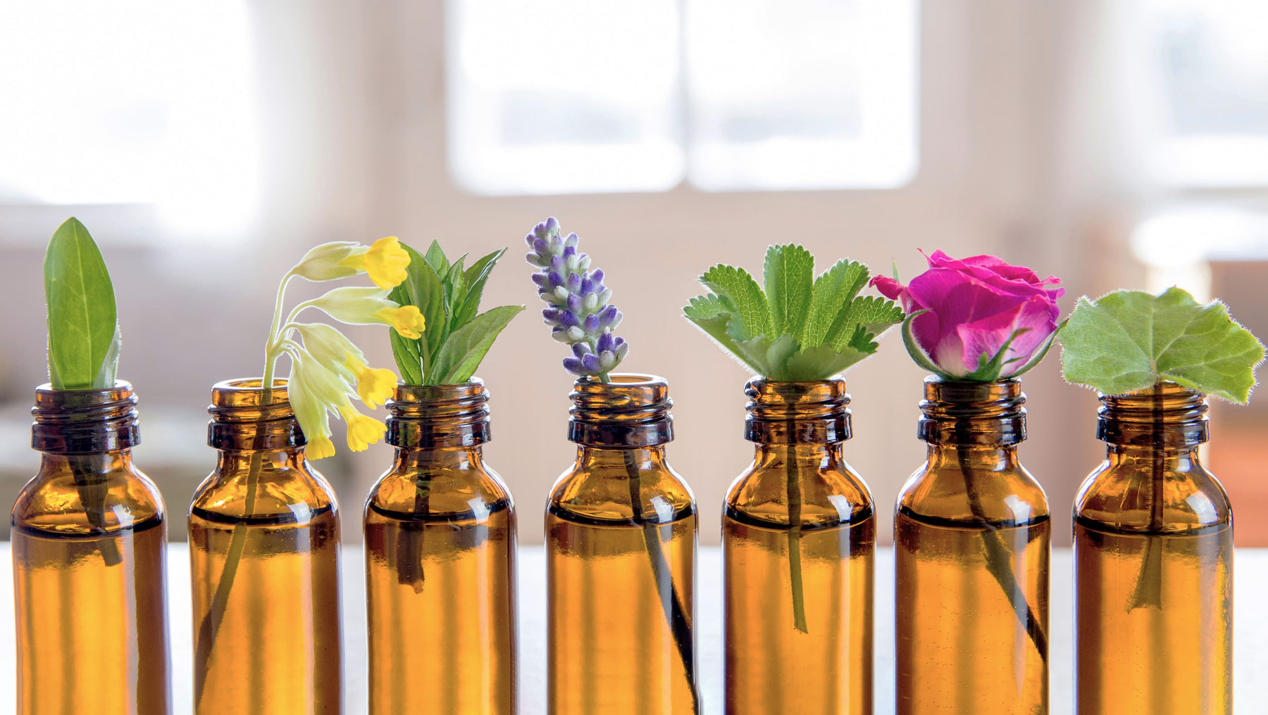 Parfum d'ambiance sans produits chimiques : explorez des alternatives naturelles aux parfums d'ambiance sans produits chimiques 