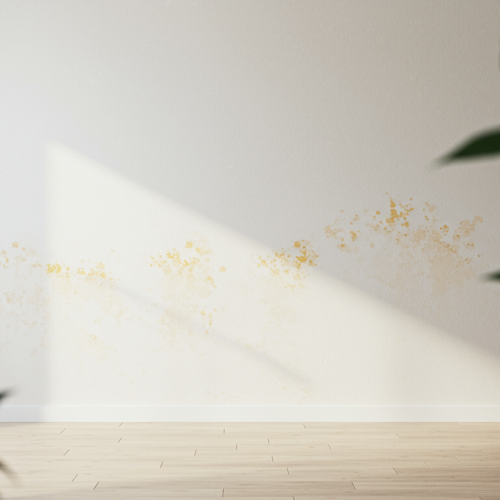 Gelber Schimmel an der Wand: Ursachen und Beseitigung