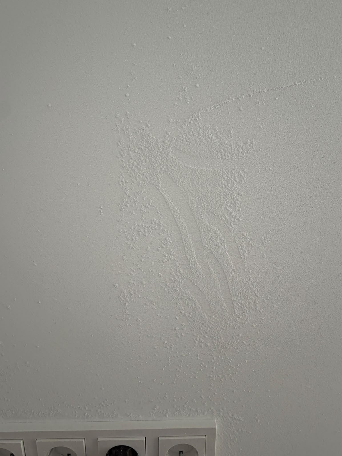 Efflorescence saline ou moisissure ? Un cas pratique avec imagerie thermique et mesure de l'humidité