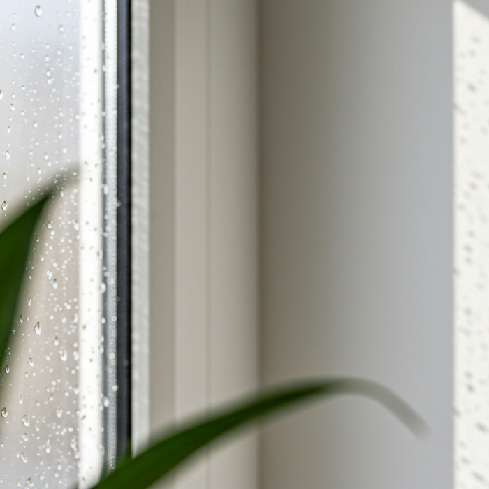 Moisissure sur la fenêtre : causes, élimination et prévention