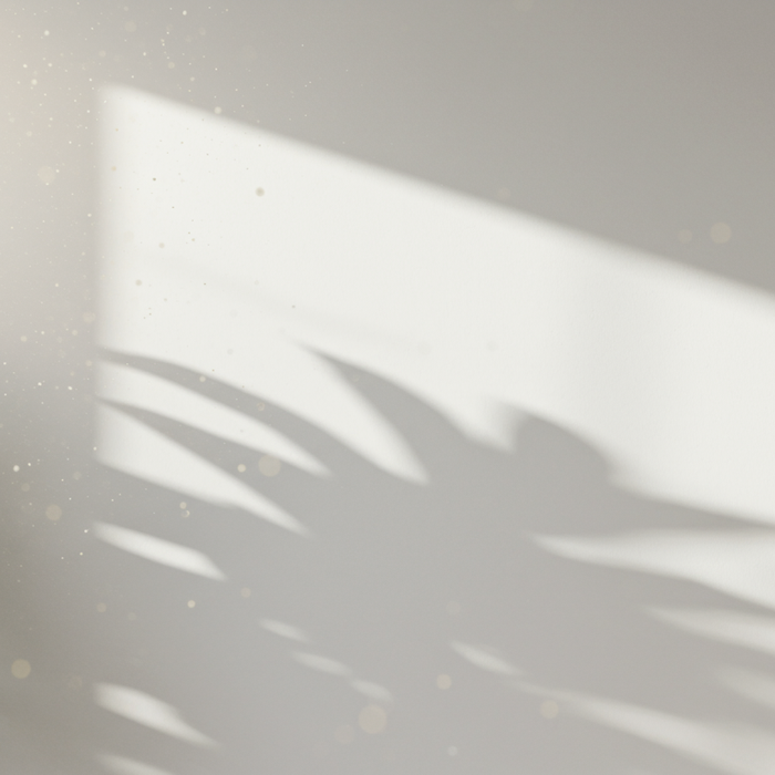 Schimmelsporen abtoeten: Methoden und Wirksamkeit