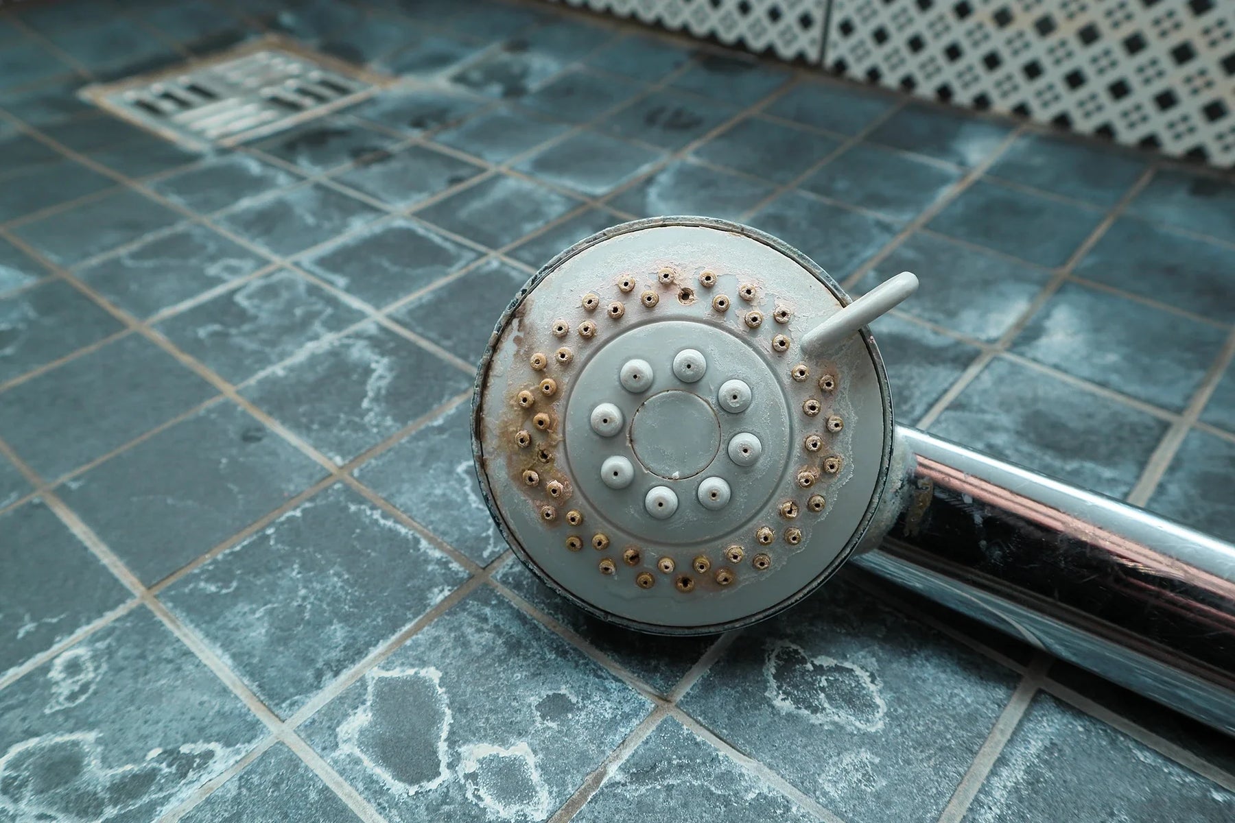 Éliminer la moisissure dans la douche – Comment se débarrasser définitivement de la moisissure noire 