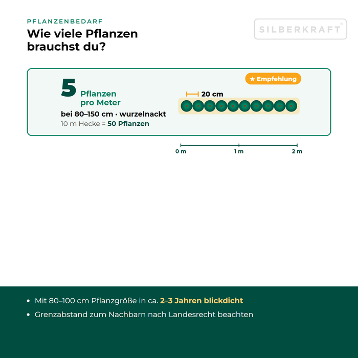 Besoin en plantes pour le merisier : 5 plantes par mètre de haie selon la taille, distance de plantation vue de dessus
