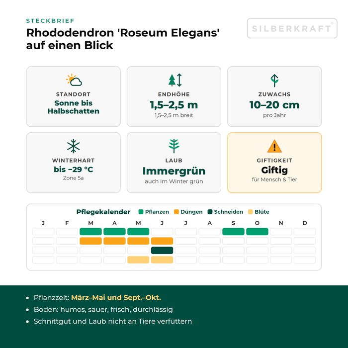Fiche descriptive Rhododendron 'Roseum Elegans' : exposition soleil à mi-ombre, hauteur finale 1,5–2,5 m, croissance 10–20 cm par an, rustique jusqu'à −29 °C – avec calendrier d'entretien