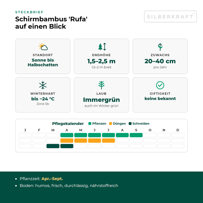 Fiche descriptive du Fargesia 'Rufa' : exposition soleil à mi-ombre, hauteur finale 1,5–2,5 m, croissance 20–40 cm par an, rustique jusqu'à −24 °C – avec calendrier d'entretien