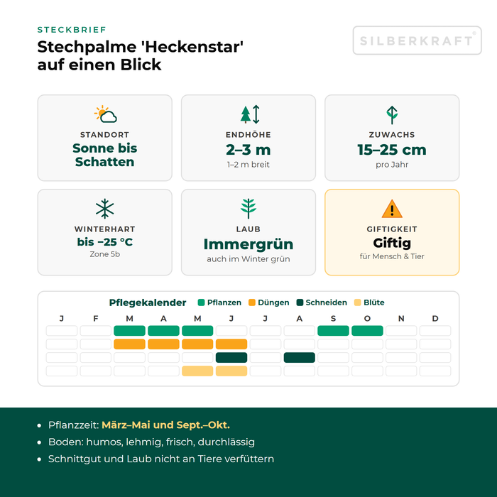 Fiche descriptive du houx 'Heckenstar' : exposition soleil à ombre, hauteur finale 2–3 m, croissance 15–25 cm par an, rustique jusqu'à −25 °C – avec calendrier d'entretien