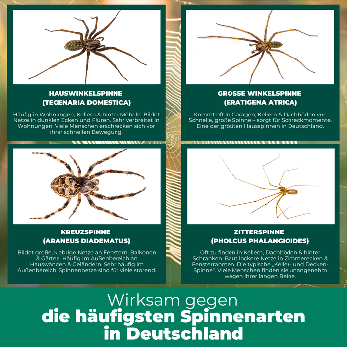 pulvérisation d'araignée