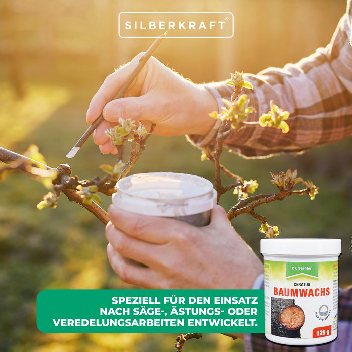 Cire d'arbre Ceratus : agent de finition et de fermeture des plaies idéal pour les arbres fruitiers et ornementaux