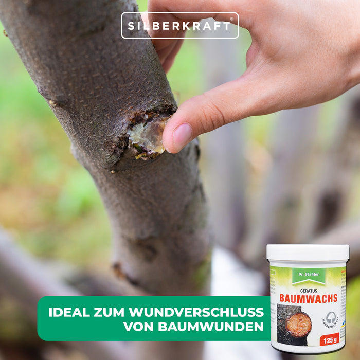 Cire d'arbre Ceratus : agent de finition et de fermeture des plaies idéal pour les arbres fruitiers et ornementaux