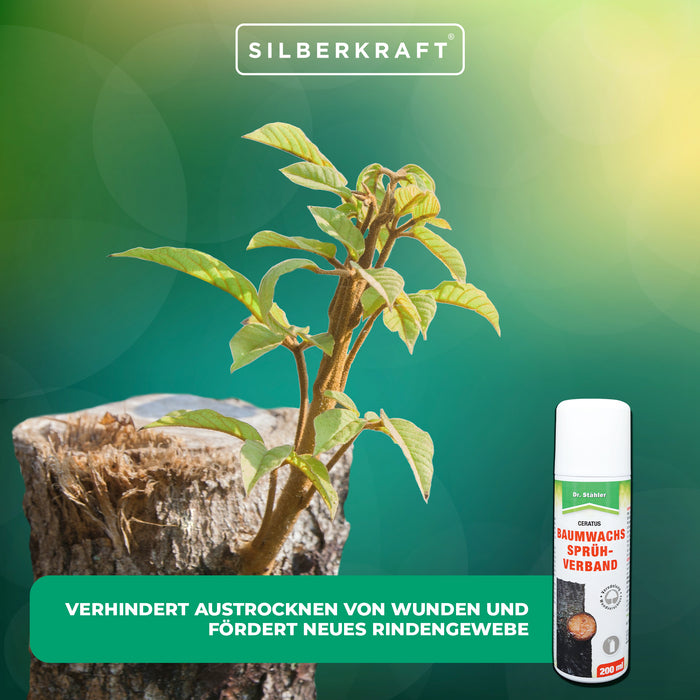 Pulvérisation de cire d'arbre : régénération et protection de vos arbres