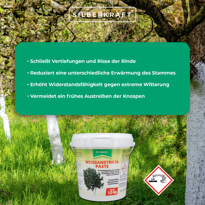 Protection efficace des arbres et arbustes : pâte de peinture blanche contre les dommages causés par le gel