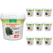 Protection efficace des arbres et arbustes : pâte de peinture blanche contre les dommages causés par le gel