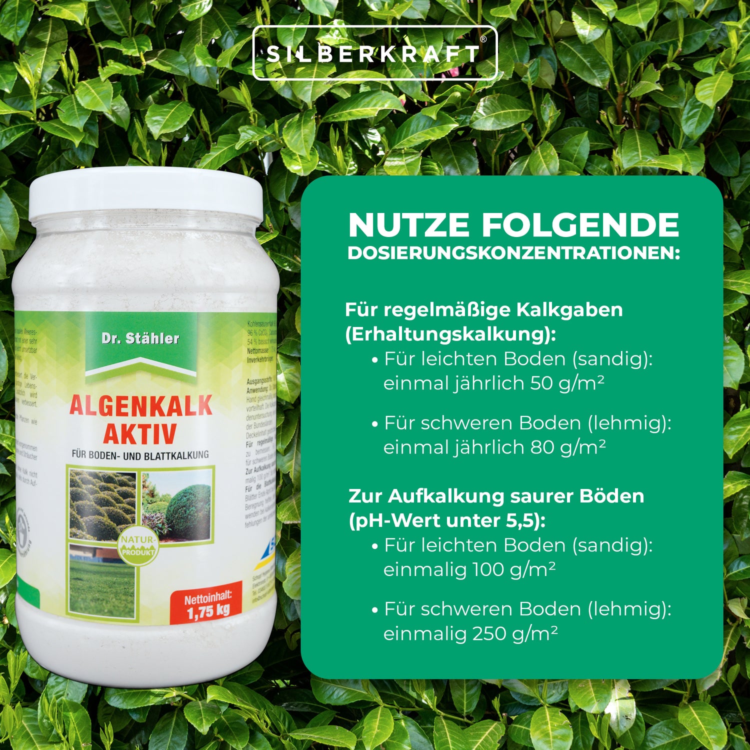 Actif à base de chaux d'algues - pour favoriser la santé des plantes