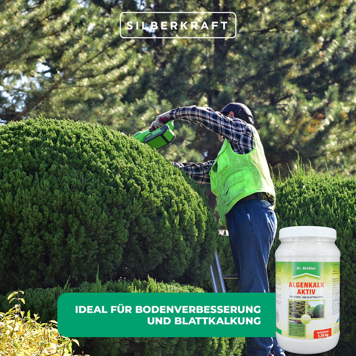 Actif à base de chaux d'algues - pour favoriser la santé des plantes