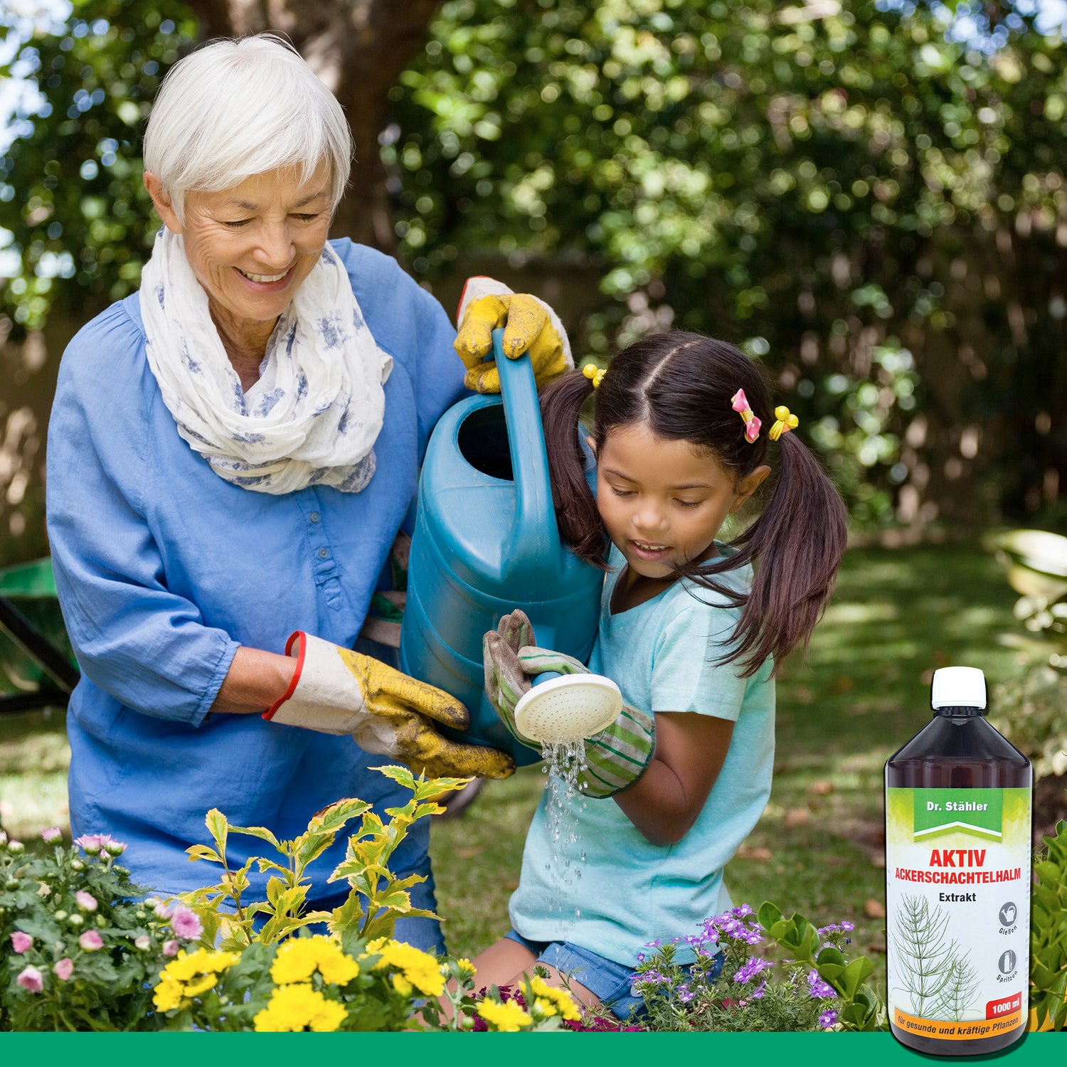 Extrait actif de prêle des champs : Renforçant efficace des plantes pour une croissance robuste