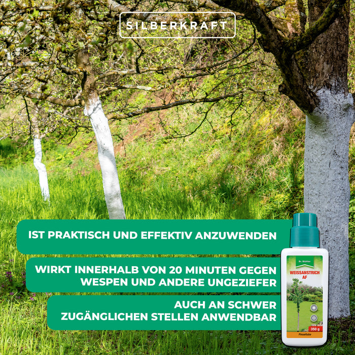 Peinture blanche AF : Protection efficace contre les dommages causés par le gel et la chaleur pour les arbres et arbustes