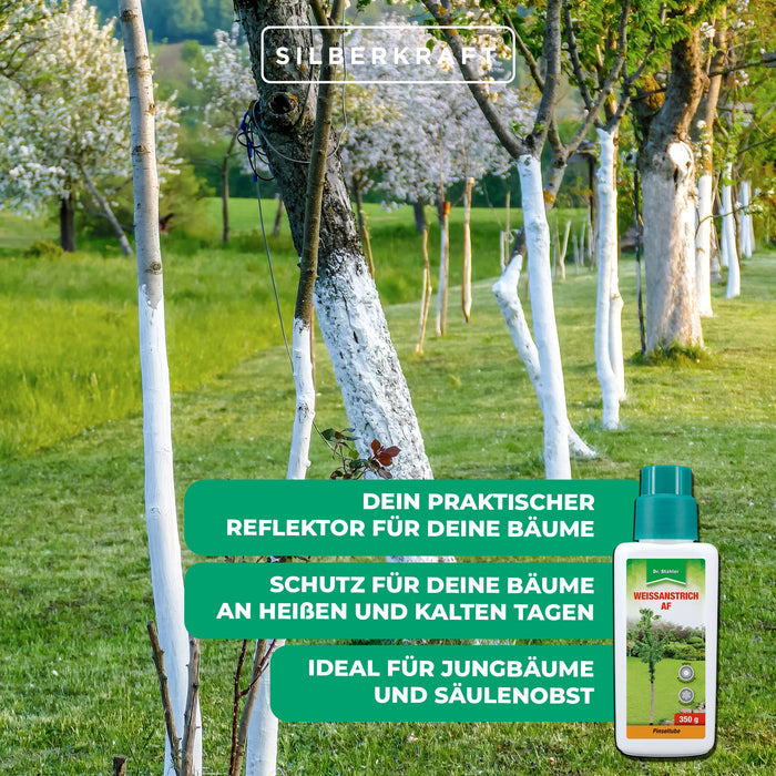 Peinture blanche AF : Protection efficace contre les dommages causés par le gel et la chaleur pour les arbres et arbustes