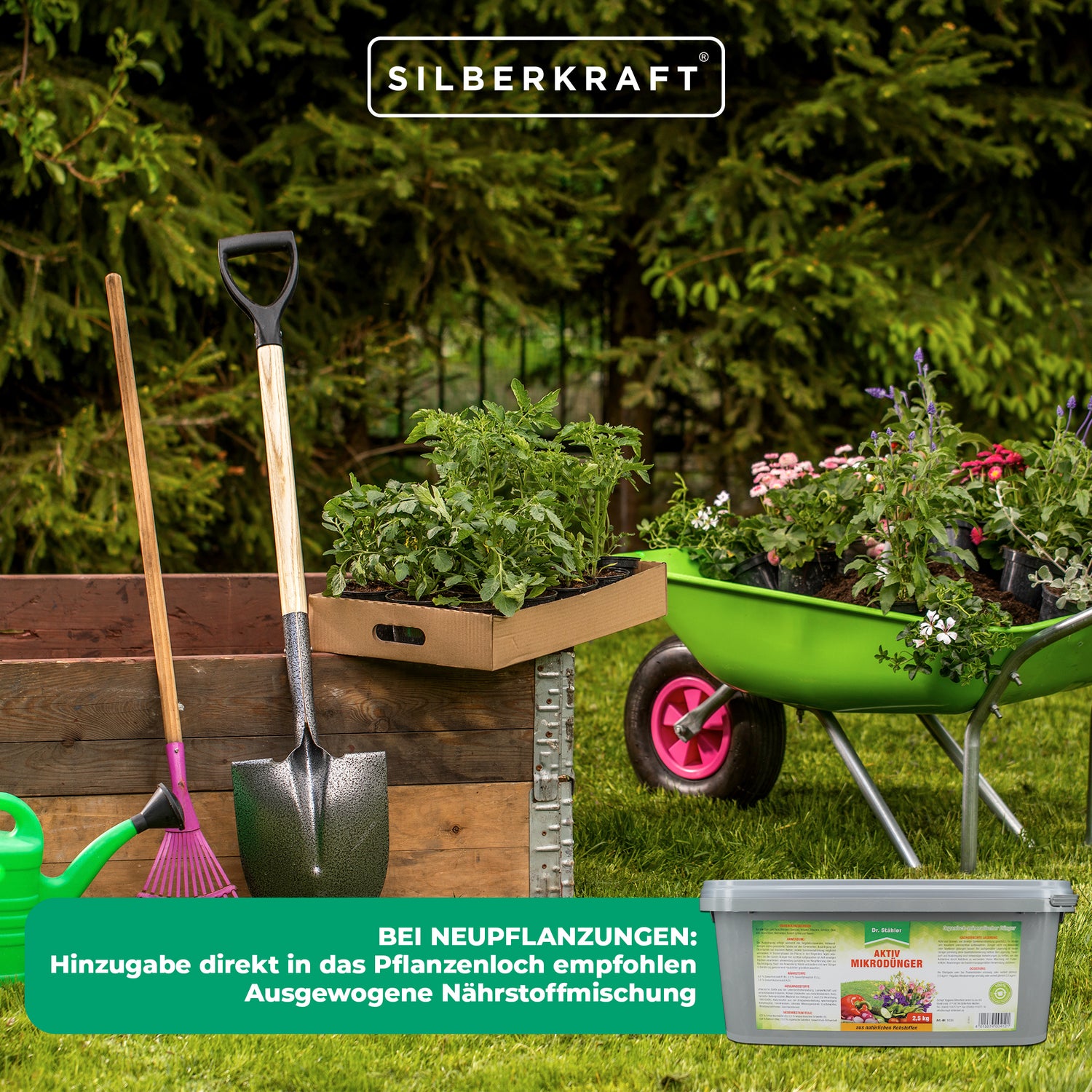 Microfertilisant actif pour plantes ornementales et cultivées saines - solide