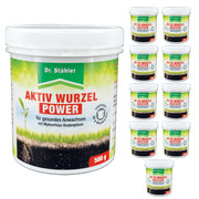 Pouvoir racinaire actif : renforcement optimal des plantes grâce aux champignons mycorhiziens du sol