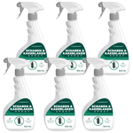Lot de 6 sprays anti-araignées – pack de fournitures pour un contrôle rapide et fiable des araignées.