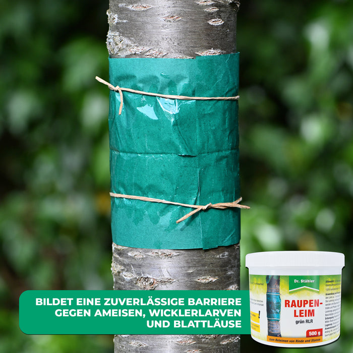 Colle chenille efficace pour une lutte antiparasitaire optimale