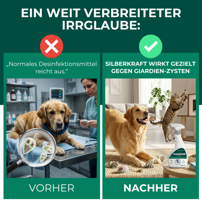 Spray Giardia contre Giardia, bactéries, virus et champignons avec eBook gratuit - Silberkraft