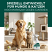 Spray Giardia contre Giardia, bactéries, virus et champignons avec eBook gratuit - Silberkraft
