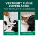 Vorher-Nachher-Darstellung einer Katze – sichtbare Flohbekämpfung durch Spray