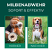 Milbenabwehr für Hunde – Vorher-Nachher-Vergleich mit sichtbarem Erfolg durch das Silberkraft Milbenspray gegen Juckreiz und Hautirritationen.