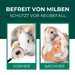 Vorher-Nachher-Vergleich zur Milbenbehandlung bei Nagetieren: Links – ein Meerschweinchen mit Milbenbefall, vergrößert durch eine Lupe. Rechts – zwei gesunde, milbenfreie Meerschweinchen aufeinander sitzend. Text betont 'Befreit von Milben – Schützt vor Neubefall' als Wirkung des Milbenmittels.