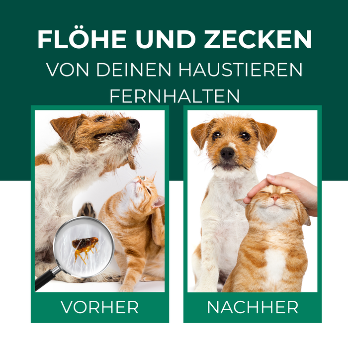 Spray anti-puces et anti-tiques pour chiens et chats