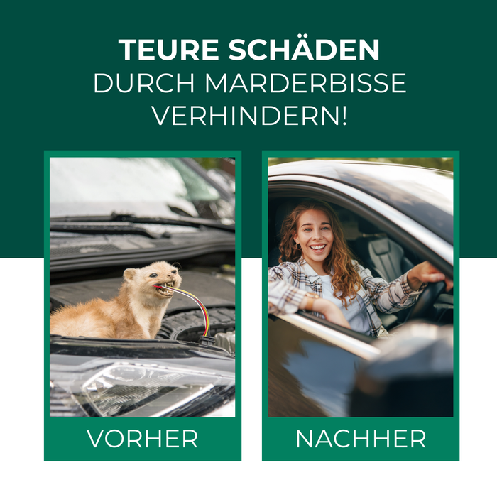 Vorher-Nachher-Bild, das die Wirkung des Silberkraft Marder Stopp Sprays demonstriert. Vorher durchbeißt ein Marder Kabel in einem Auto. Nachher fährt eine junge Frau glücklich mit dem Auto.