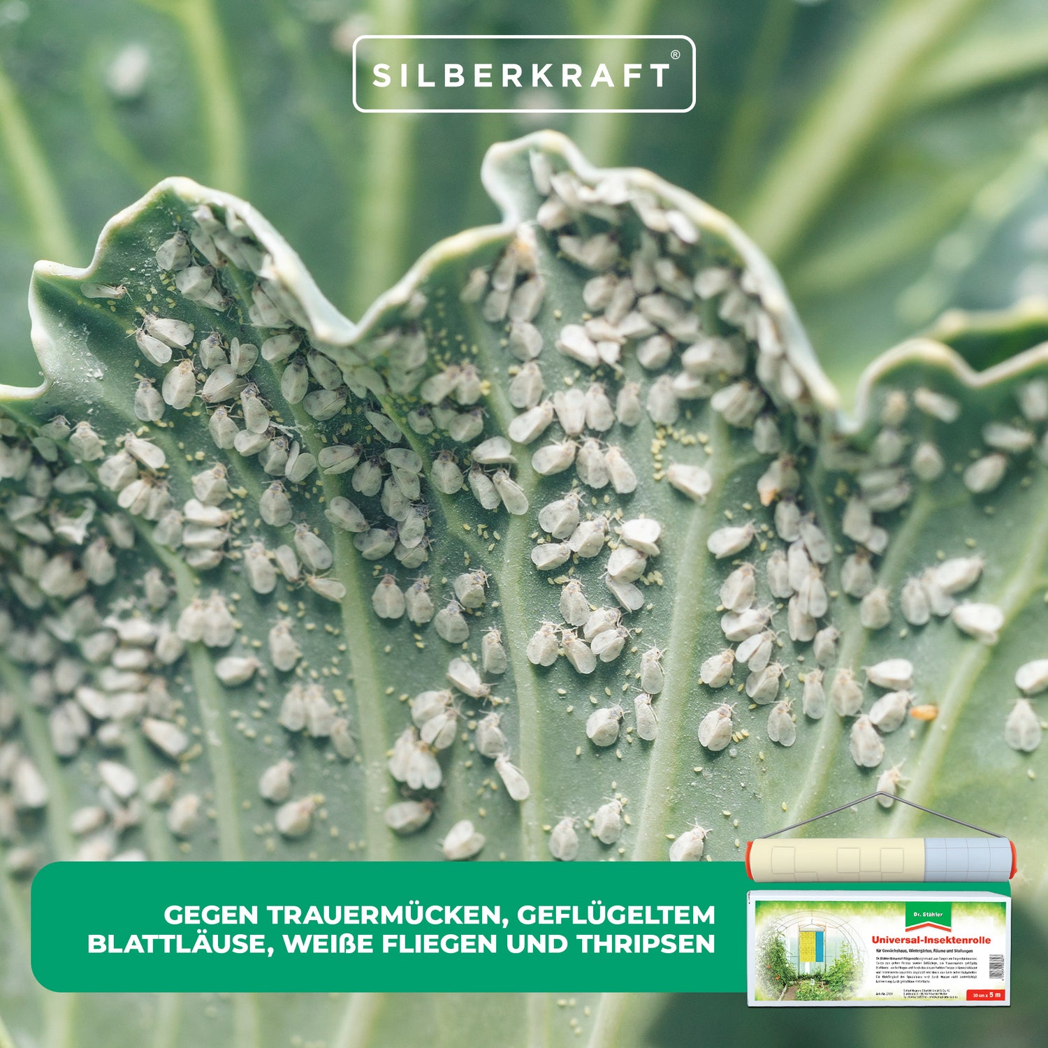 Moulinet anti-insectes universel : pour attraper les moucherons fongiques, les pucerons ailés, les aleurodes et les thrips