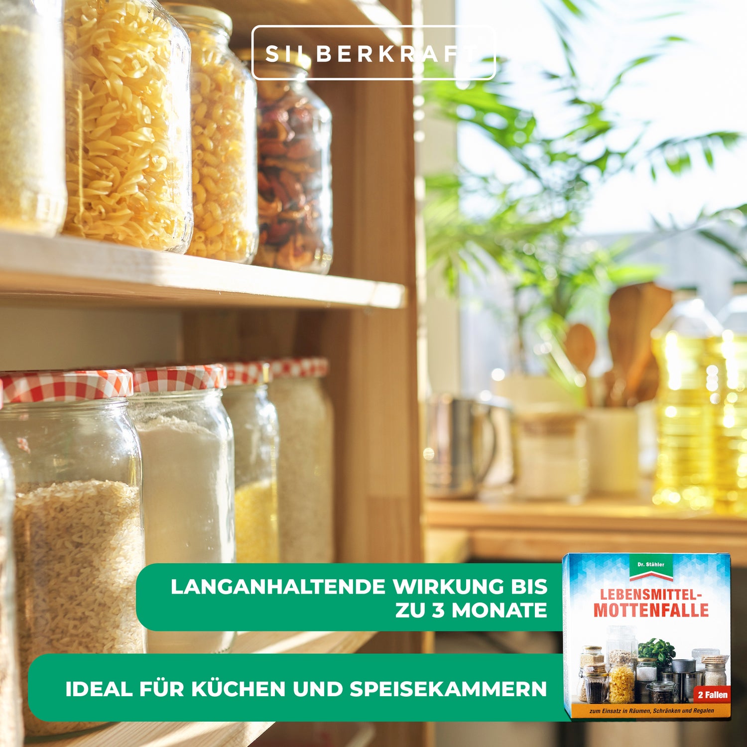 Piège à mites alimentaire fiable : protection efficace contre les mites pour les cuisines et les garde-manger
