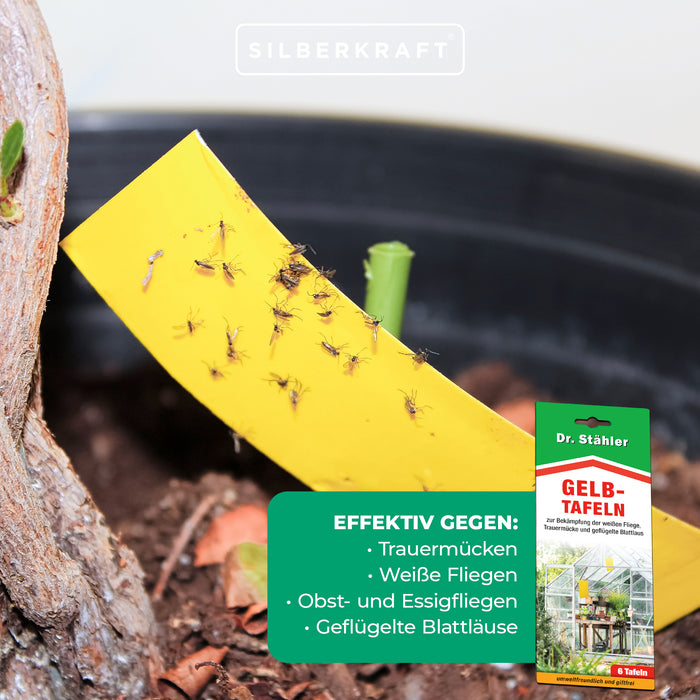 Panneaux jaunes efficaces pour lutter contre les parasites des plantes d'intérieur et de jardin d'hiver.