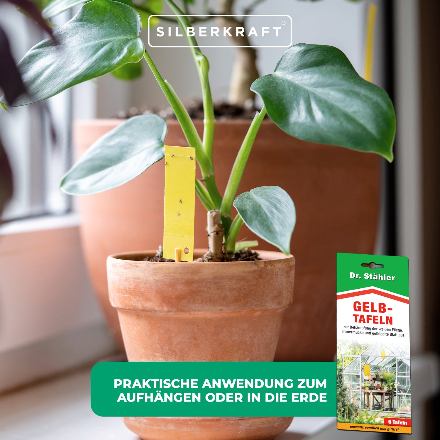 Panneaux jaunes efficaces pour lutter contre les parasites des plantes d'intérieur et de jardin d'hiver.