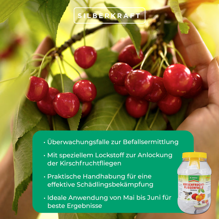 Pack de recharge pour piège à mouches des cerisiers : solution de surveillance efficace pour les arbres fruitiers