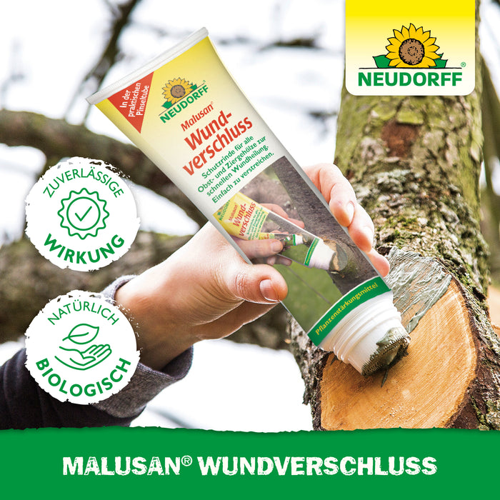 Fermeture de la plaie Malusan