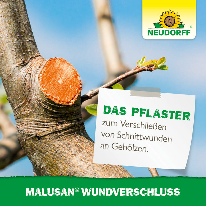 Fermeture de la plaie Malusan